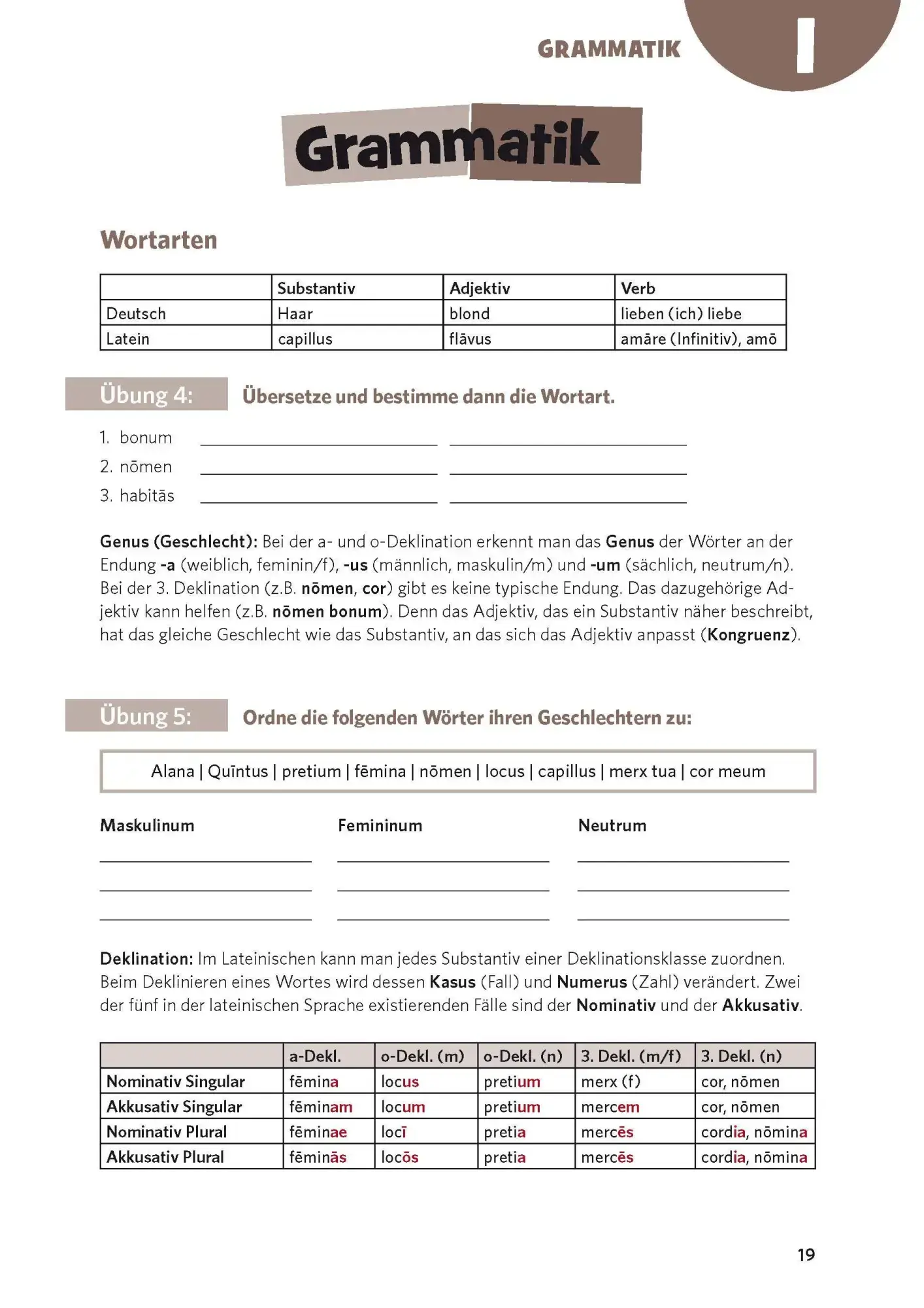 Bild 5 von 8