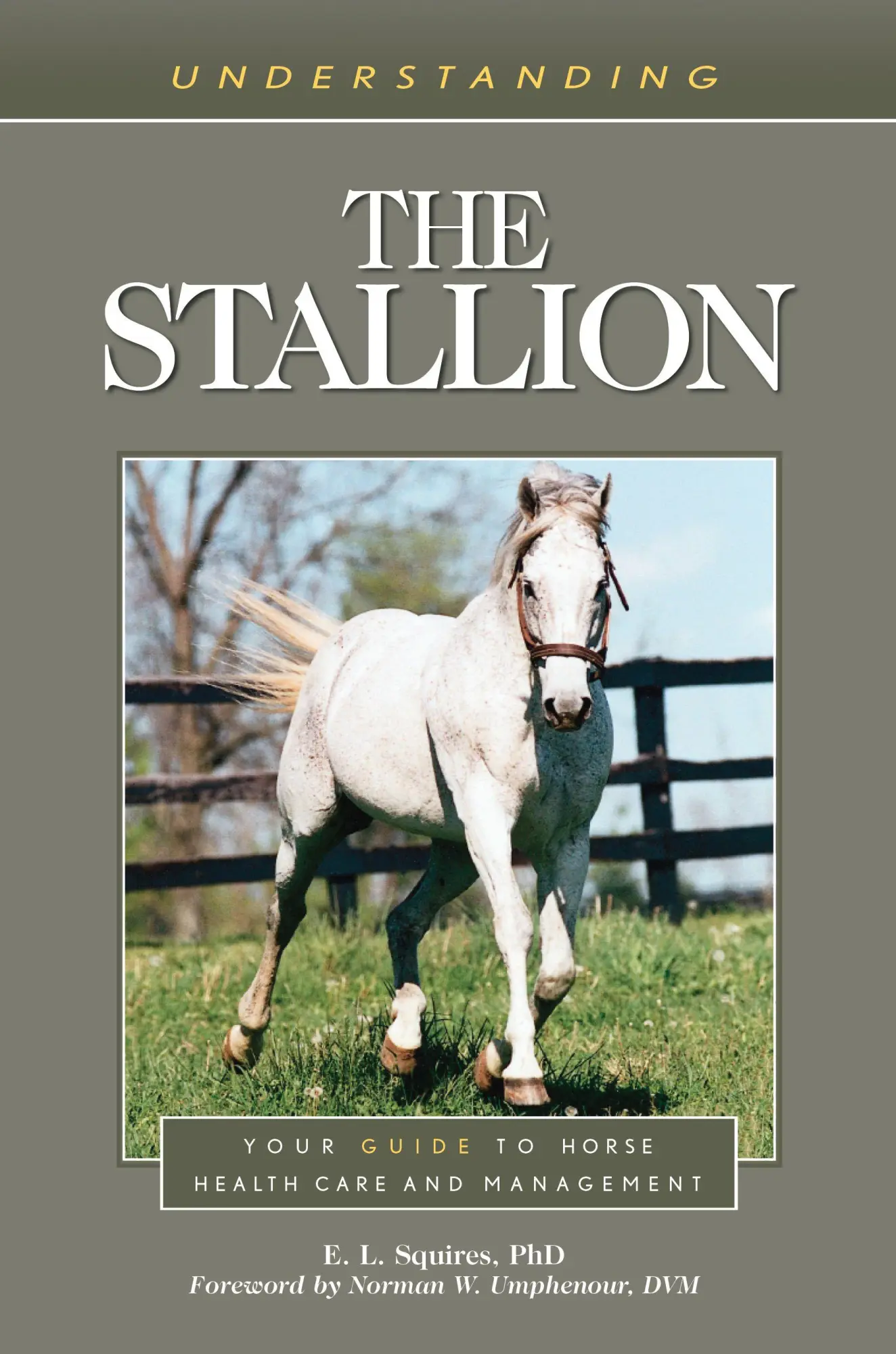 Understanding The Stallion | Your Guide To Horse Health Care And Management-image
